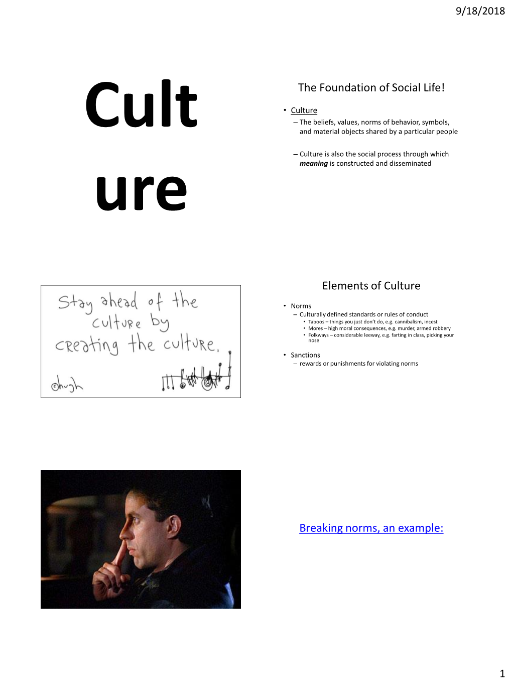 Culture-Sociology-Notes.Pdf