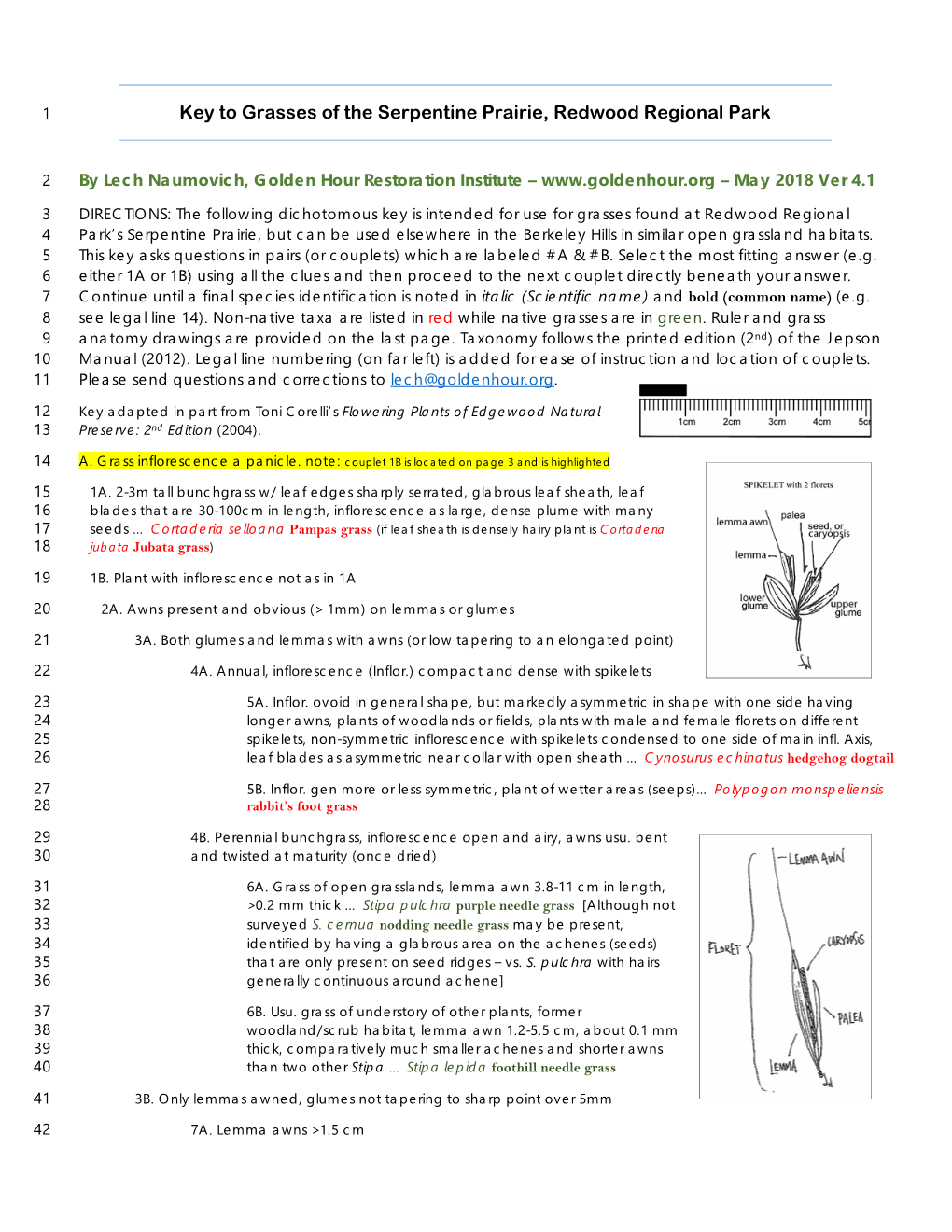 Key to Grasses of the Serpentine Prairie, Redwood Regional Park