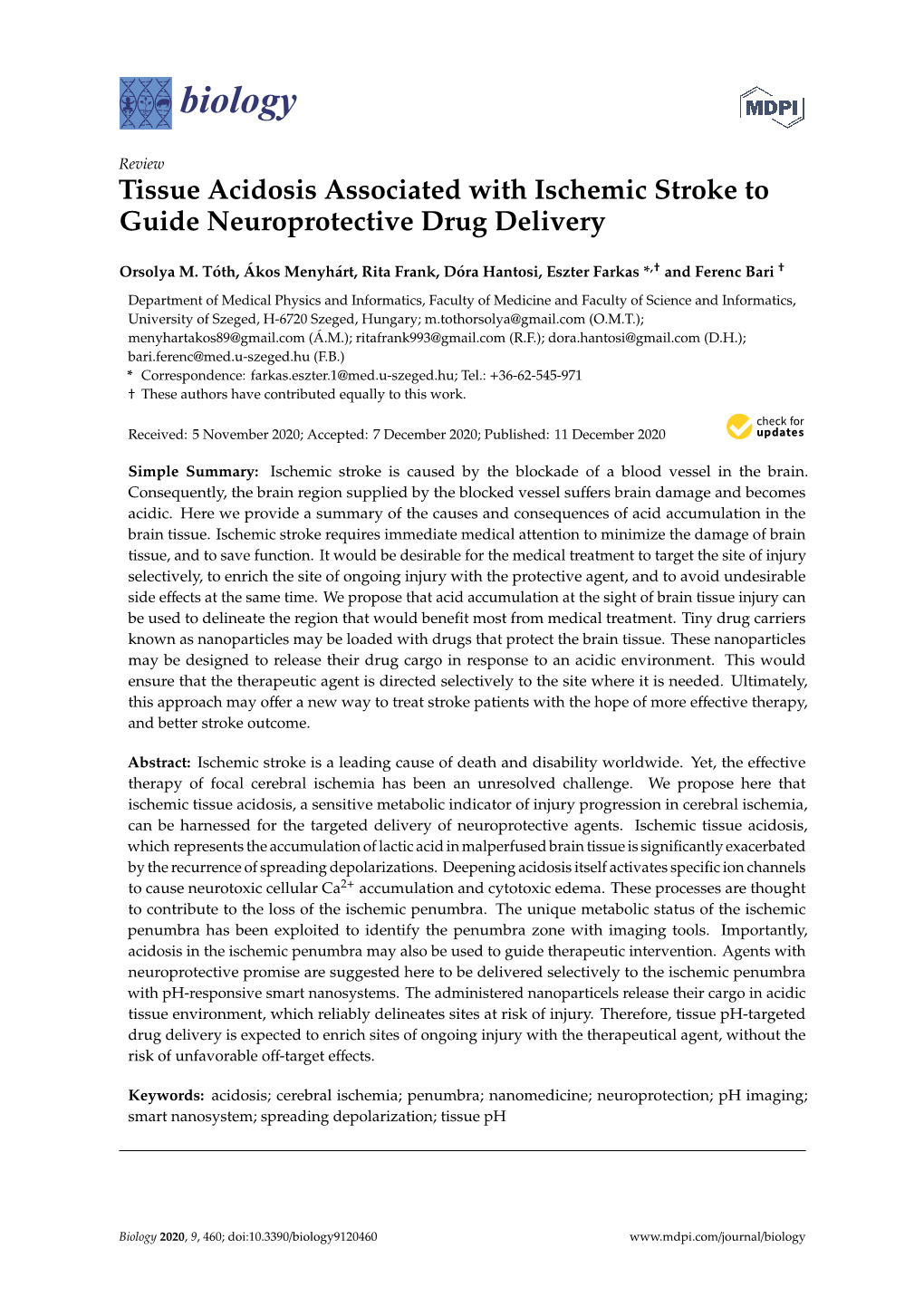 Tissue Acidosis Associated with Ischemic Stroke to Guide Neuroprotective Drug Delivery