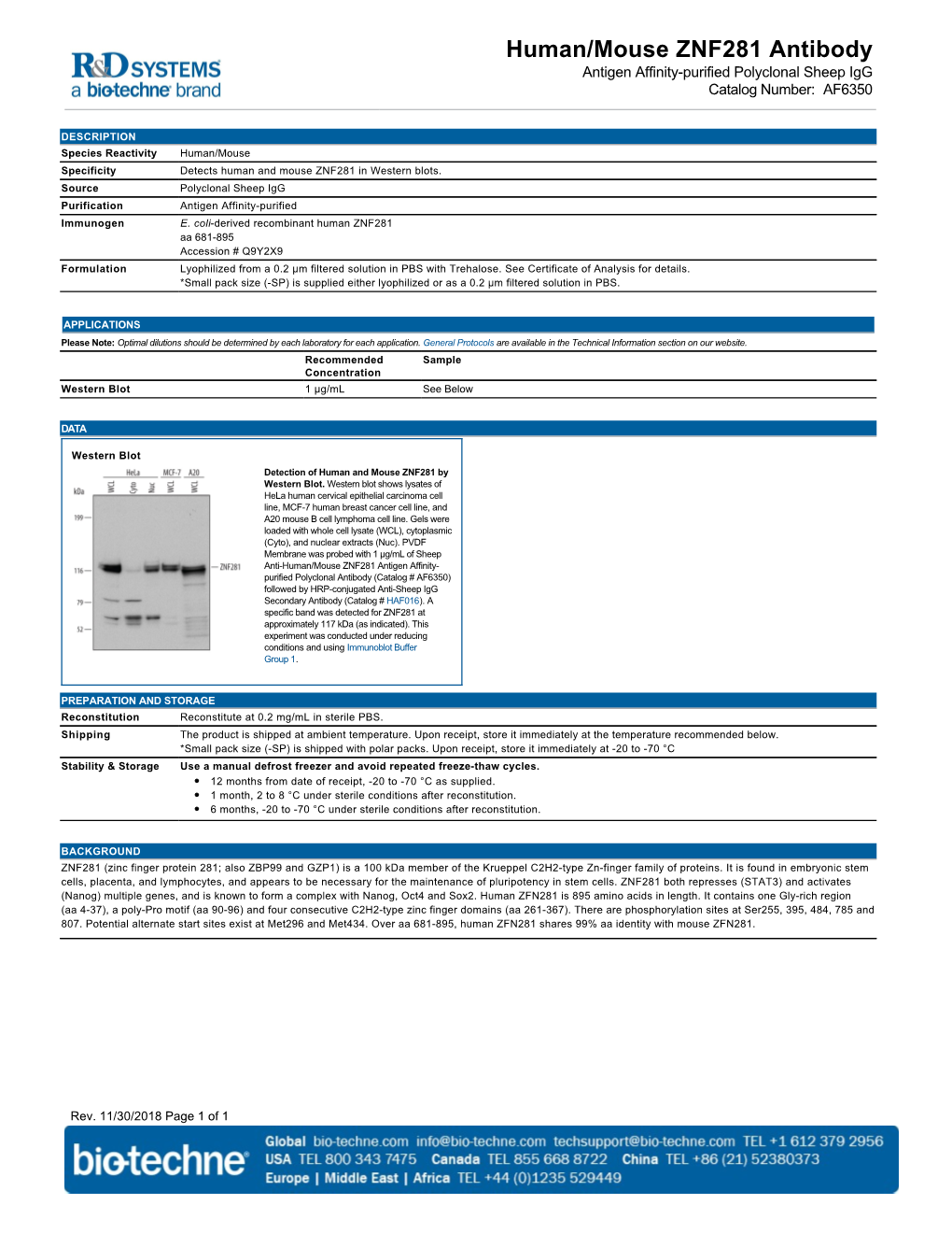 Human/Mouse ZNF281 Antibody Antigen Affinity-Purified Polyclonal Sheep Igg Catalog Number: AF6350