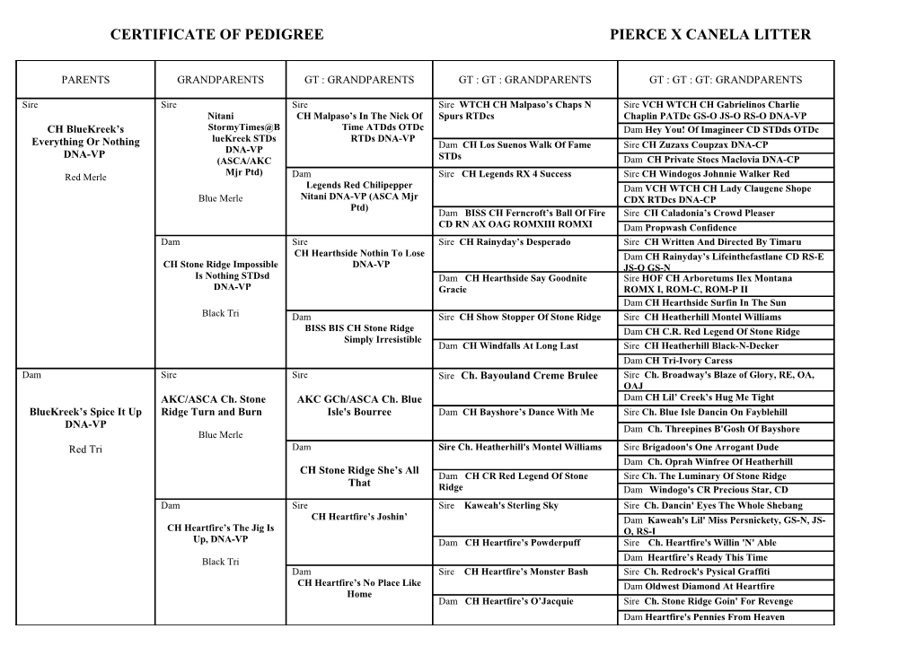 Certificate of Pedigree Pierce X Canela Litter