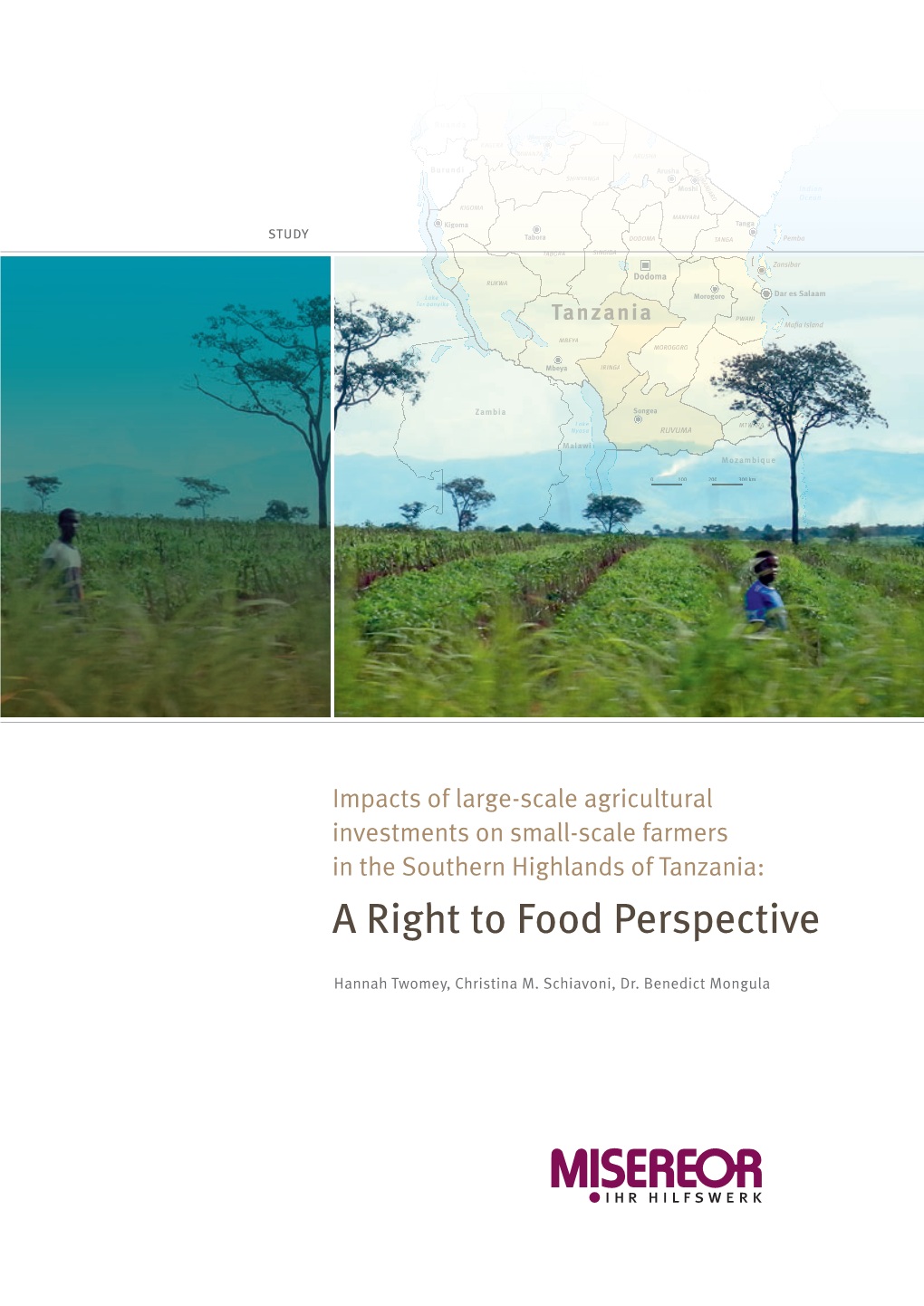 Impacts of Large-Scale Agricultural Investments on Small-Scale Farmers in the Southern Highlands of Tanzania: a Right to Food Perspective