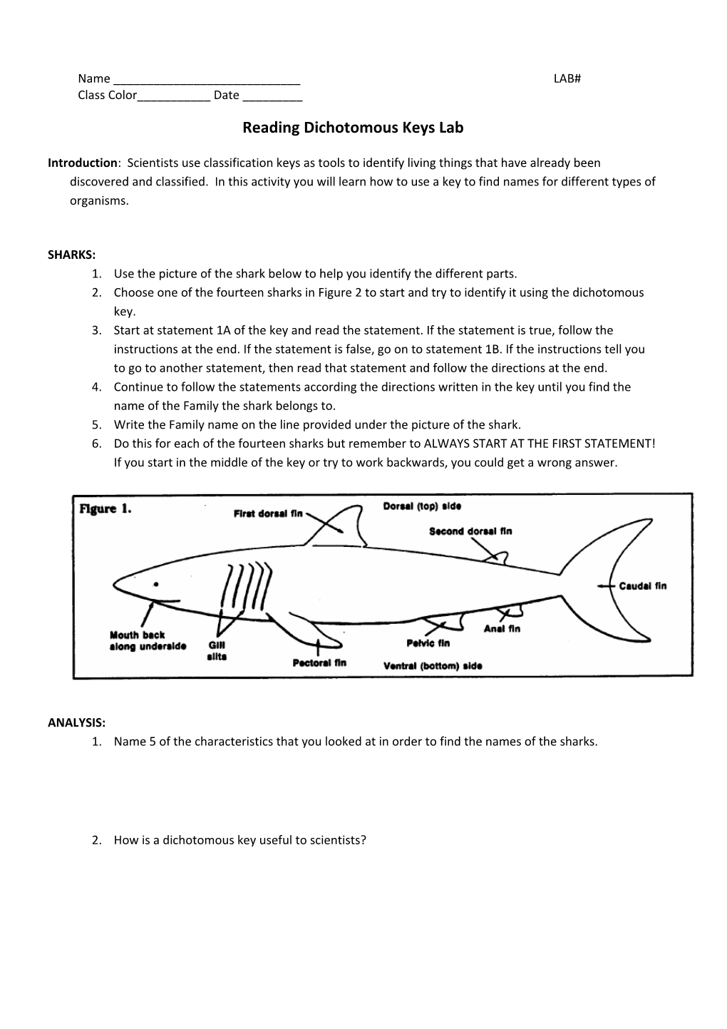 Reading Dichotomous Keys Lab