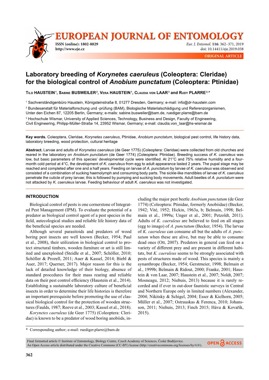 Coleoptera: Cleridae) for the Biological Control of Anobium Punctatum (Coleoptera: Ptinidae