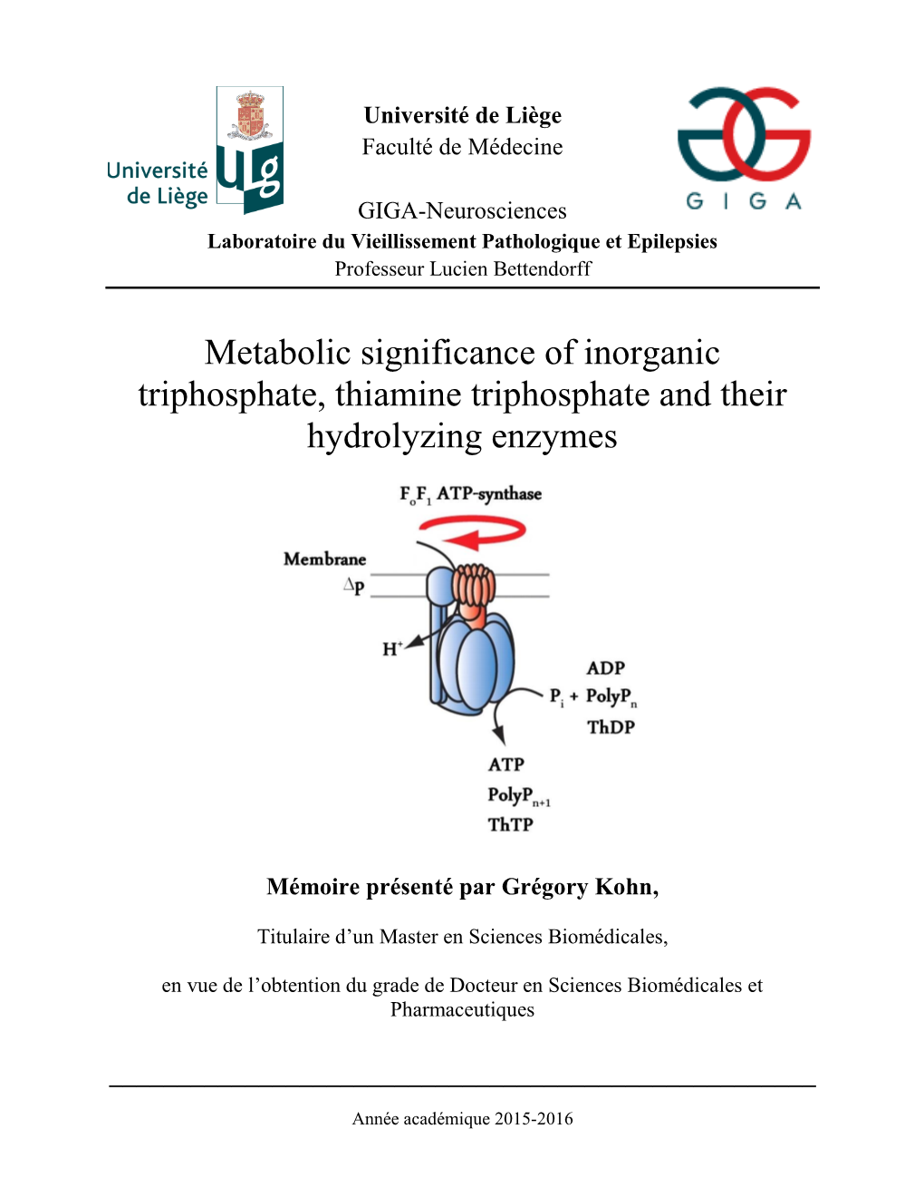 Thiamine Triphosphate and Their Hydrolyzing Enzymes