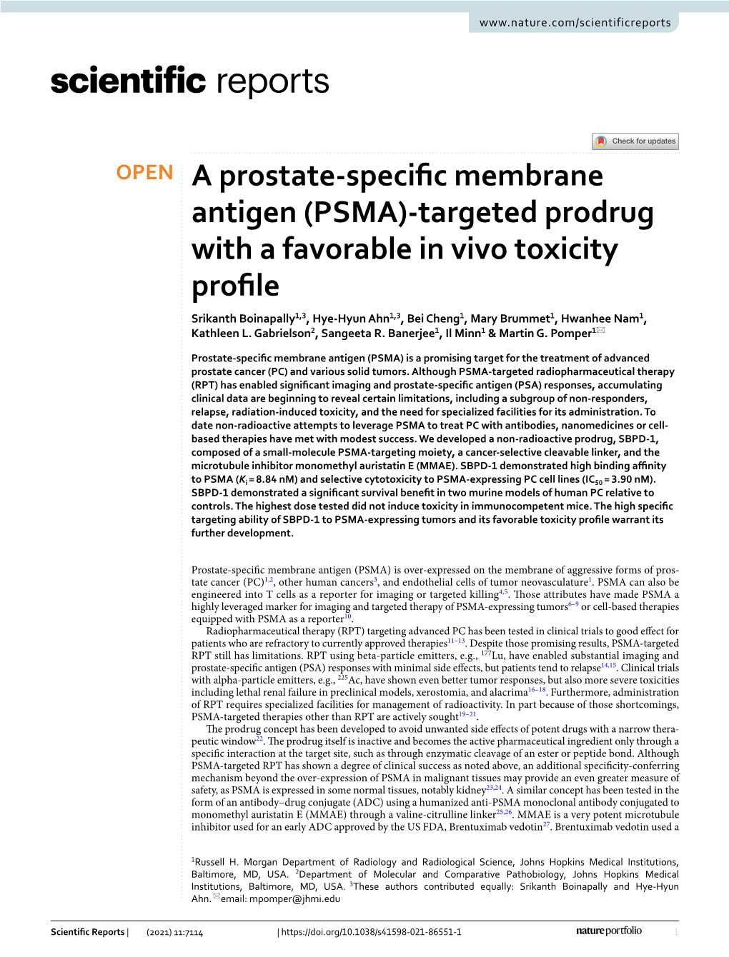 A Prostate-Specific Membrane Antigen (PSMA)