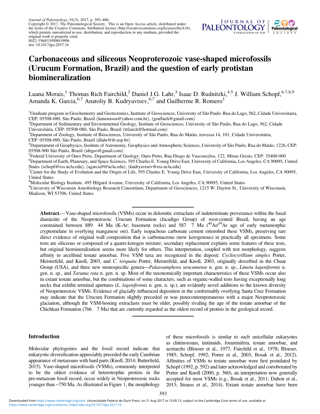 Carbonaceous and Siliceous Neoproterozoic Vase-Shaped Microfossils (Urucum Formation, Brazil) and the Question of Early Protistan Biomineralization