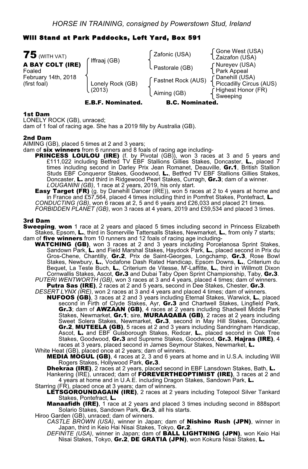 HORSE in TRAINING, Consigned by Powerstown Stud, Ireland