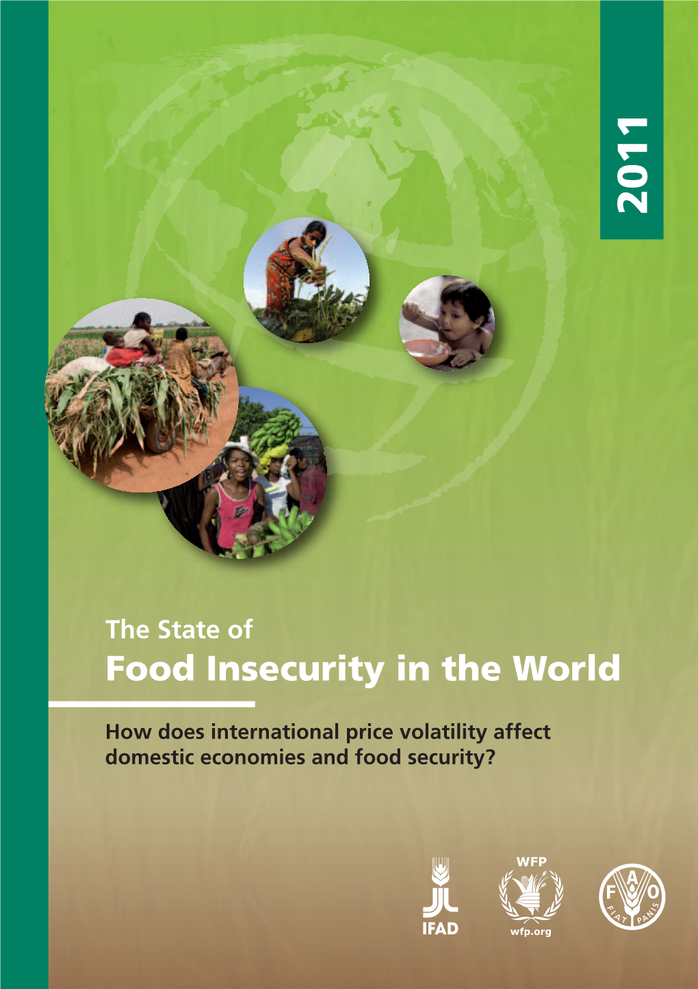 Food Insecurity in the World