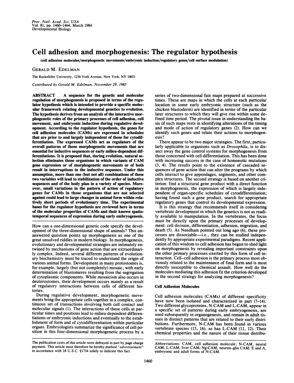 Cell Adhesion and Morphogenesis