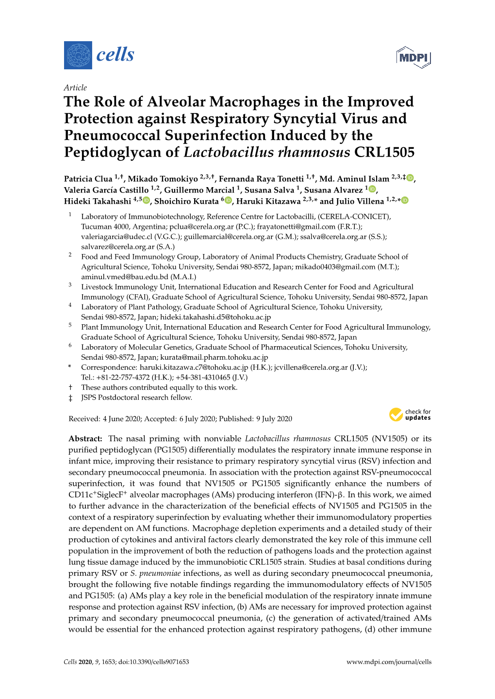 The Role of Alveolar Macrophages in the Improved Protection Against