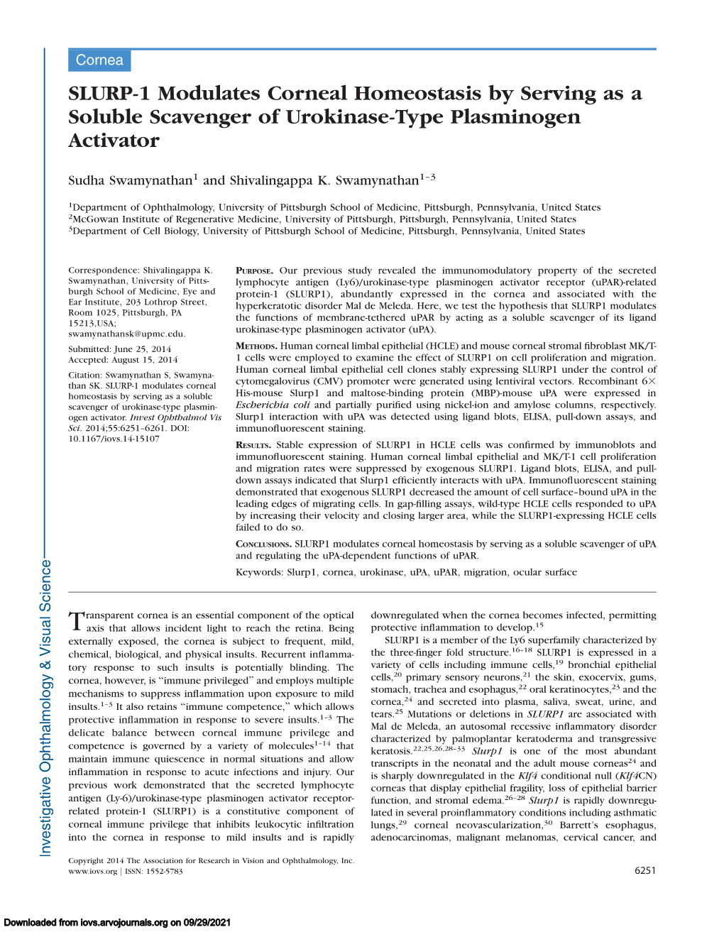 SLURP-1 Modulates Corneal Homeostasis by Serving As a Soluble Scavenger of Urokinase-Type Plasminogen Activator