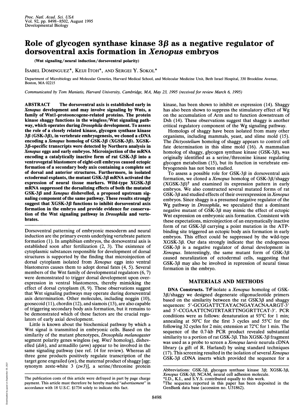 Role of Glycogen Synthase Kinase 3P3 As Anegative Regulator Of