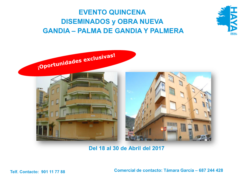 Palma De Gandia Y Palmera