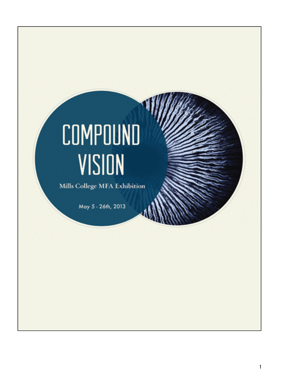 Compound Vision Catalog.Pdf