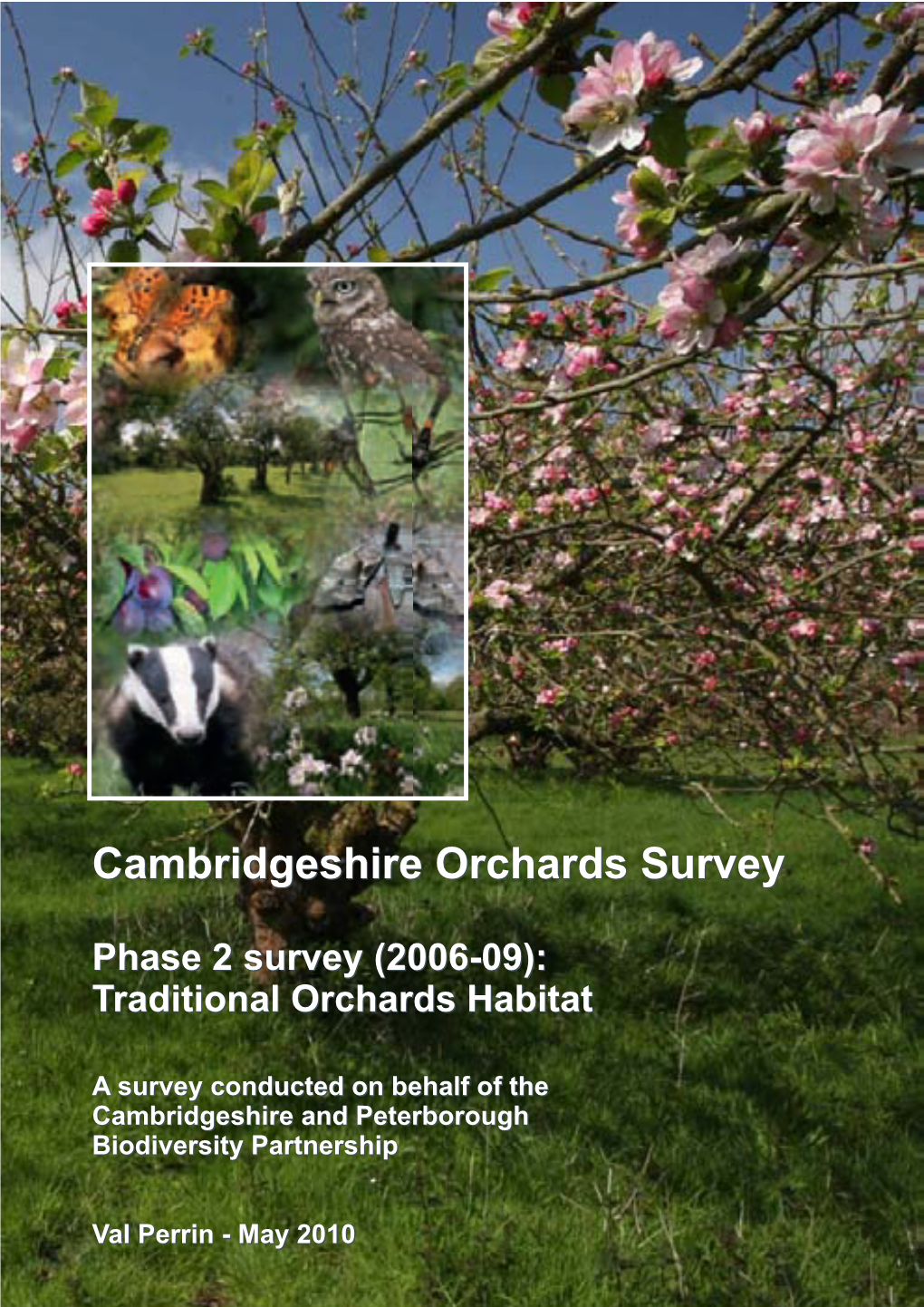 Traditional Orchard Survey Phase 2 Report 2010