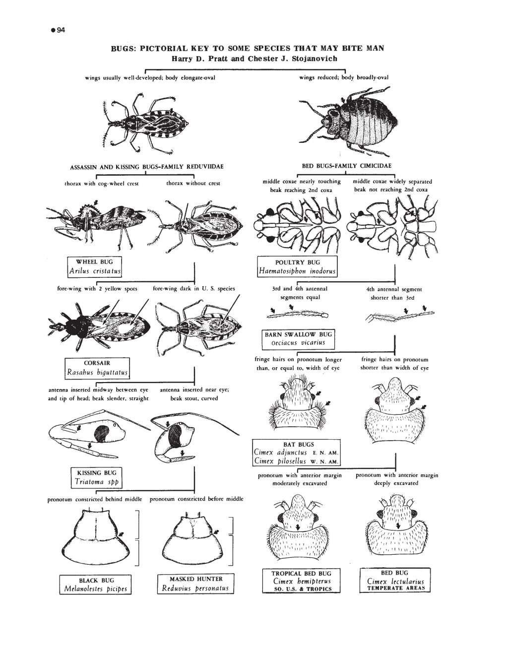 Bugs: Pictorial Keys to Some Species That May Bite