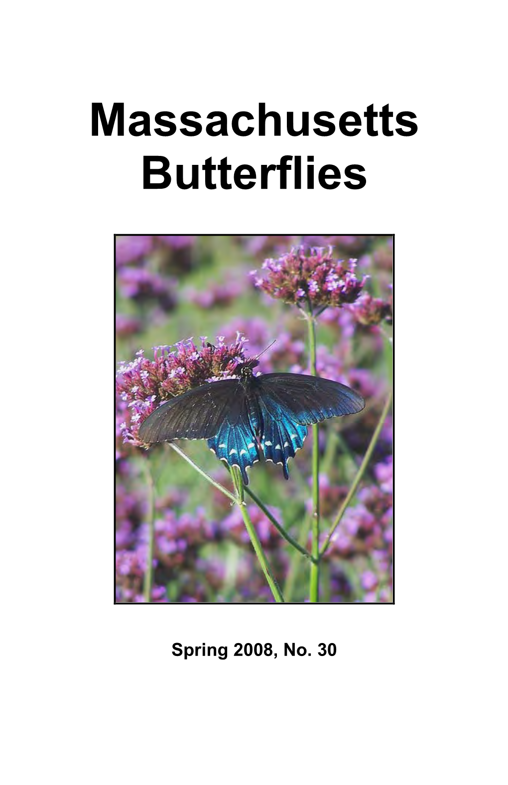 Massachusetts Butterflies