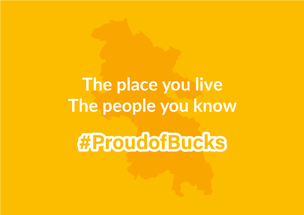 The Place You Live the People You Know a Selection of Stories and Examples of People in Buckinghamshire Helping Their Communities During the Covid-19 Pandemic