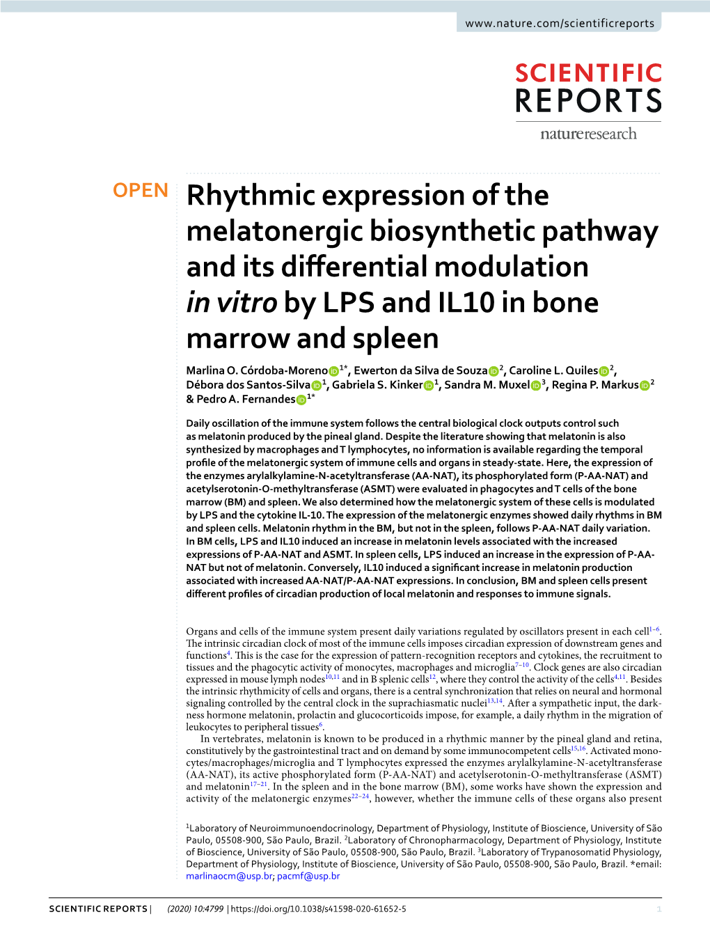 Rhythmic Expression of the Melatonergic Biosynthetic Pathway and Its Diferential Modulation in Vitro by LPS and IL10 in Bone Marrow and Spleen Marlina O