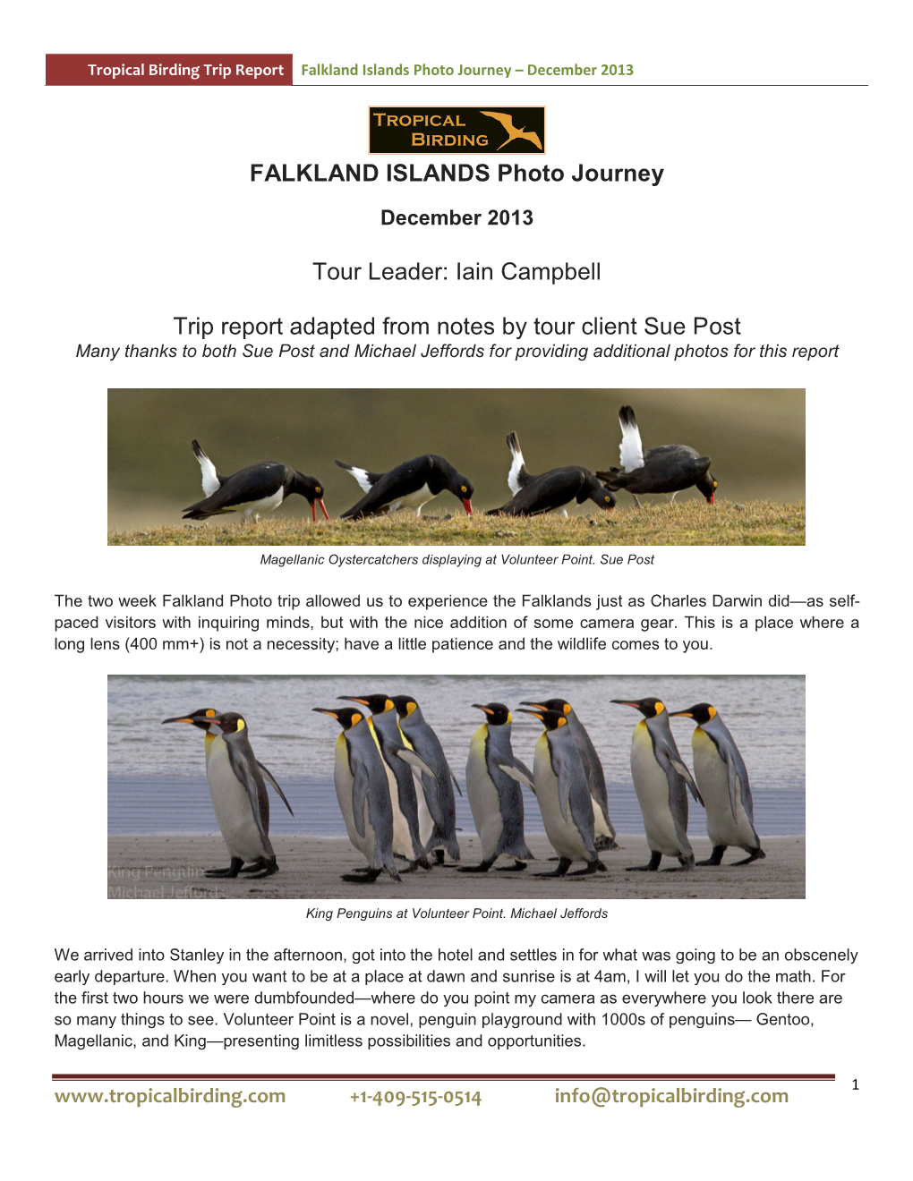 FALKLAND ISLANDS Photo Journey Tour Leader