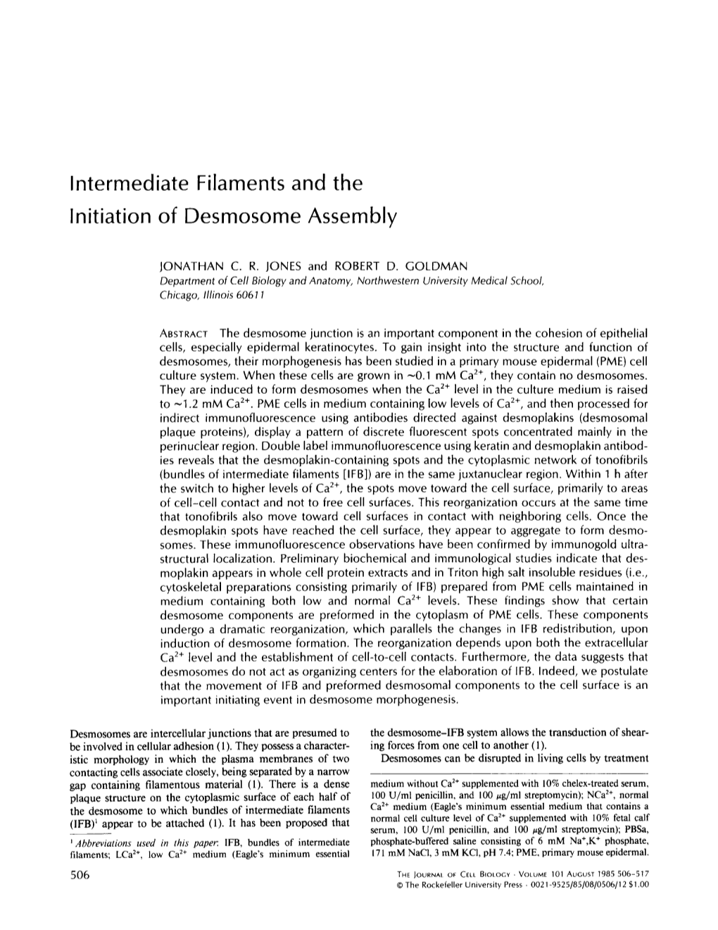 Intermediate Filaments and the Initiation of Desmosome Assembly