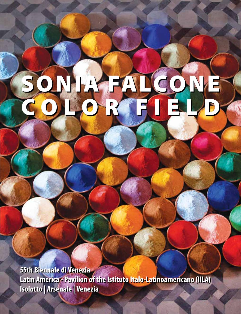 Sonia Falcone Color Field