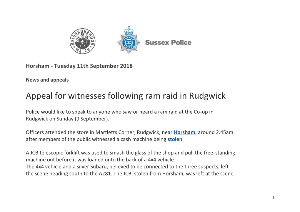 Appeal for Witnesses Following Ram Raid in Rudgwick