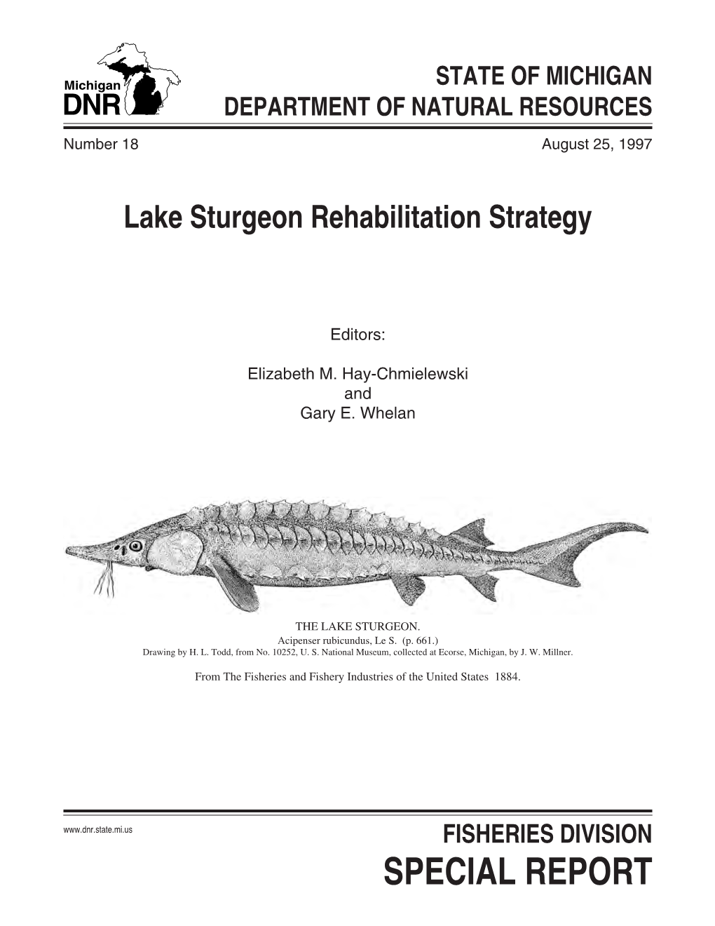 Michigan Lake Sturgeon Rehabilitation Strategy