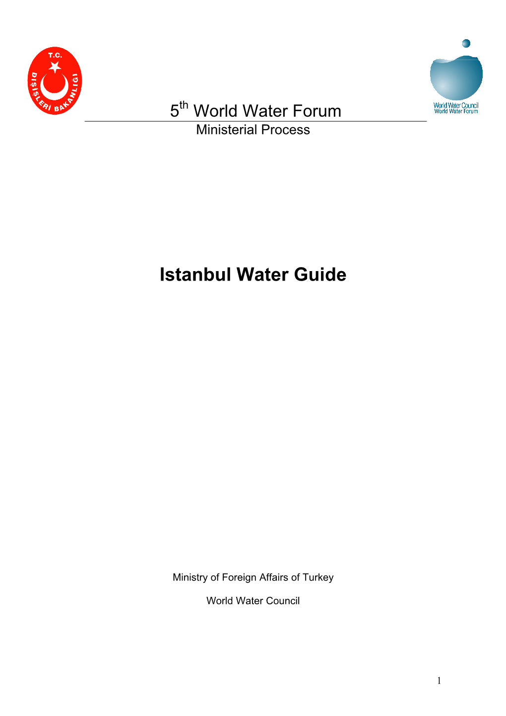 5Th World Water Forum Ministerial Process