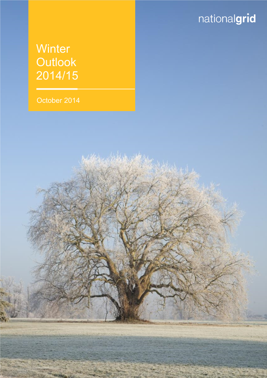 2014-15 Winter Outlook Report