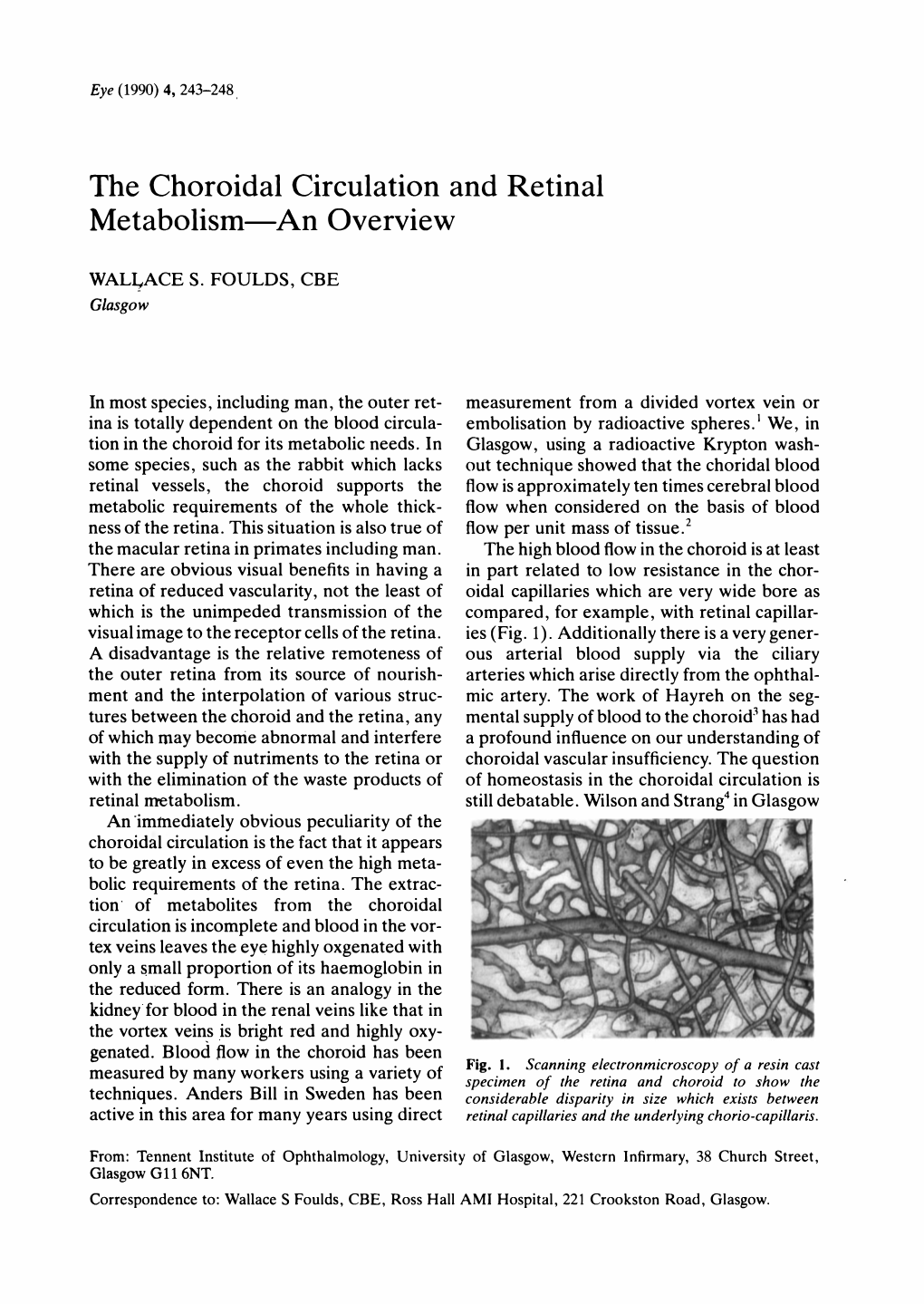 The Choroidal Circulation and Retinal Metabolism-An Overview