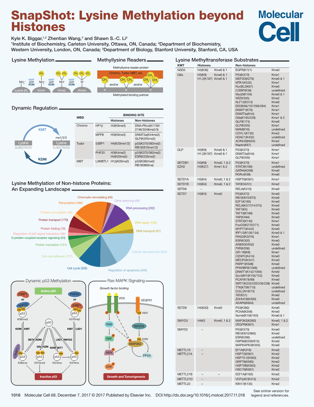 Snapshot: Lysine Methylation Beyond Histones Kyle K