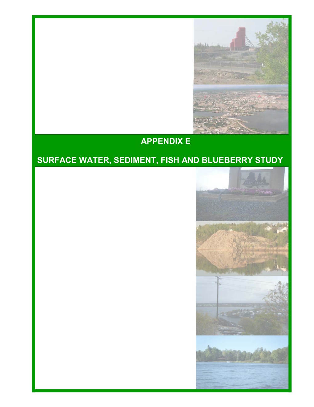 Surface Water Sediment Fish and Blueberry Study