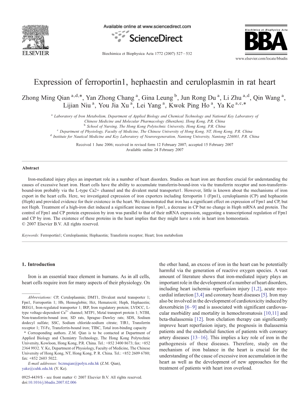 Expression of Ferroportin1, Hephaestin And