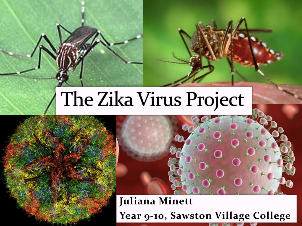 Zika Virus Project 2017