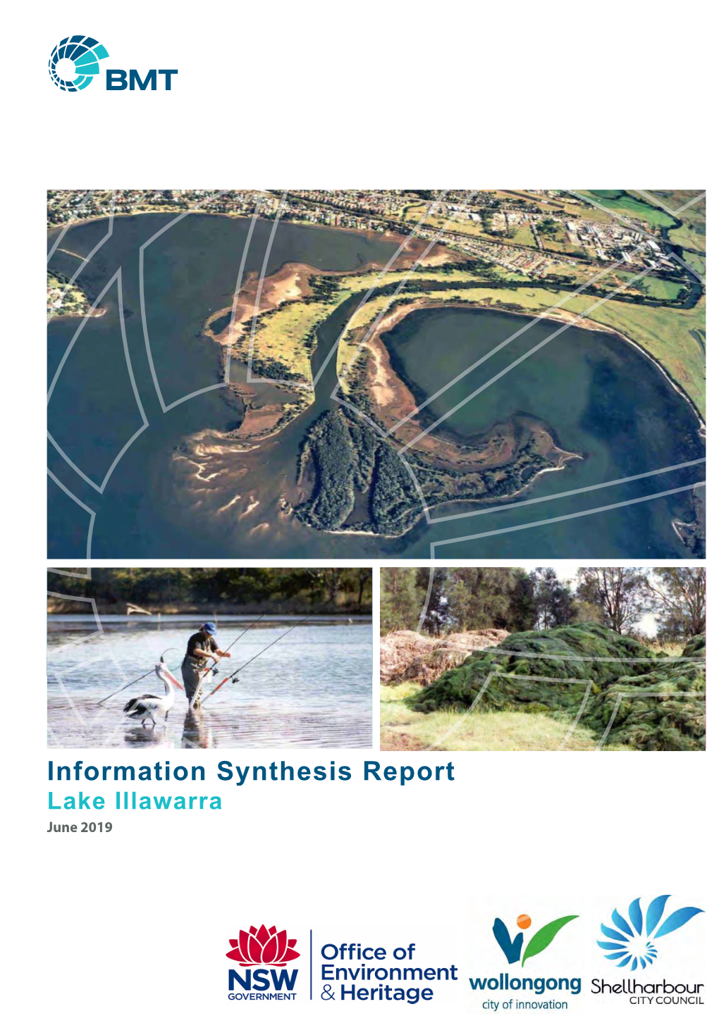 Information Synthesis Report Lake Illawarra June 2019