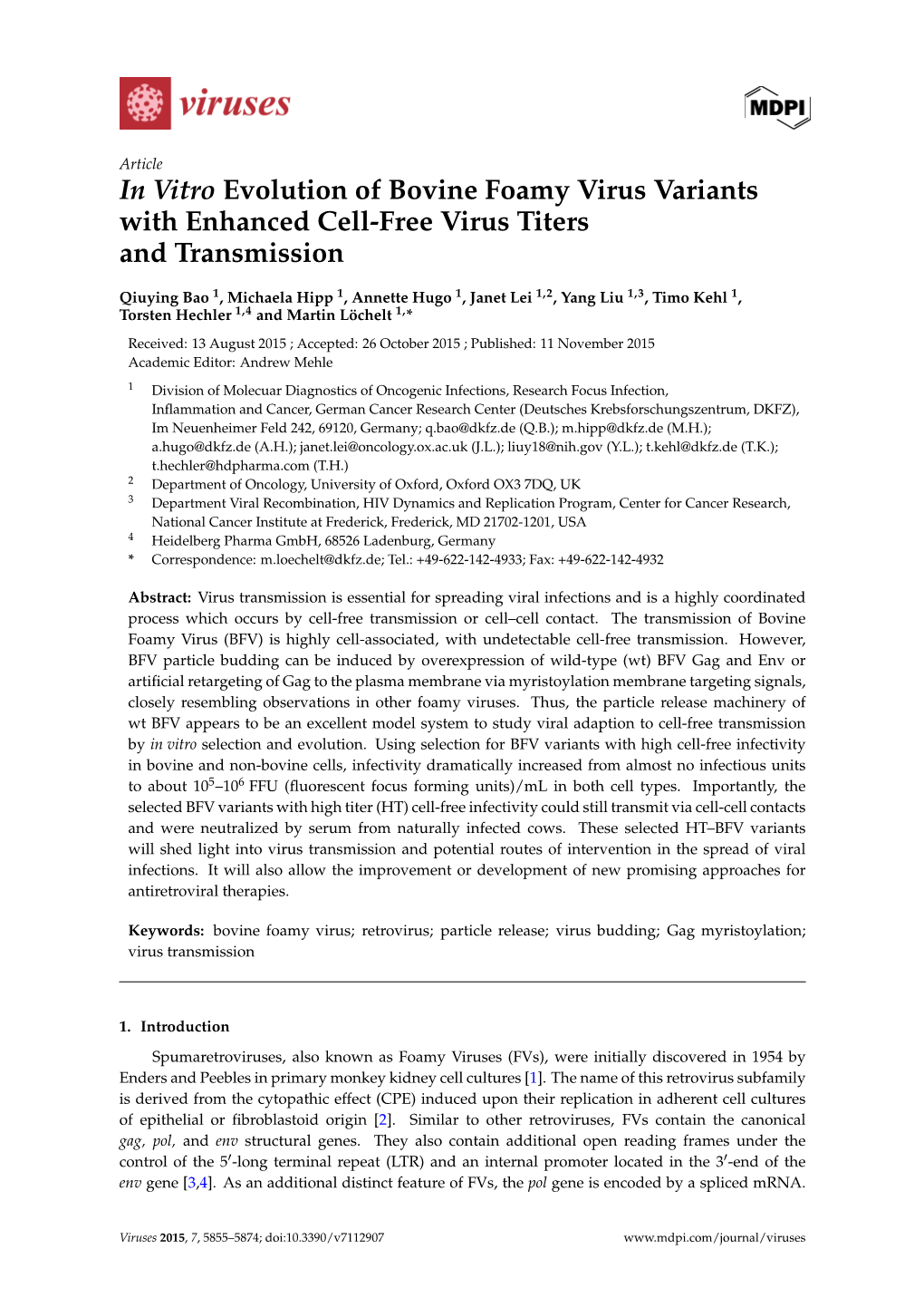 In Vitro Evolution of Bovine Foamy Virus Variants with Enhanced Cell-Free Virus Titers and Transmission