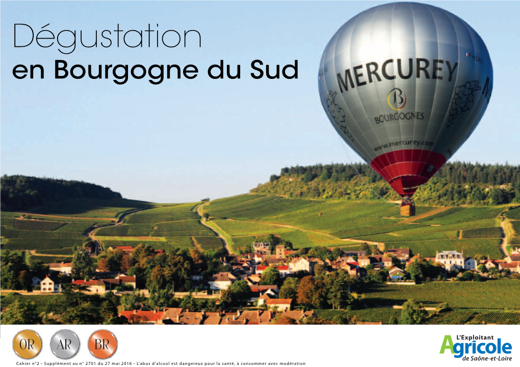 Dégustation En Bourgogne Du Sud