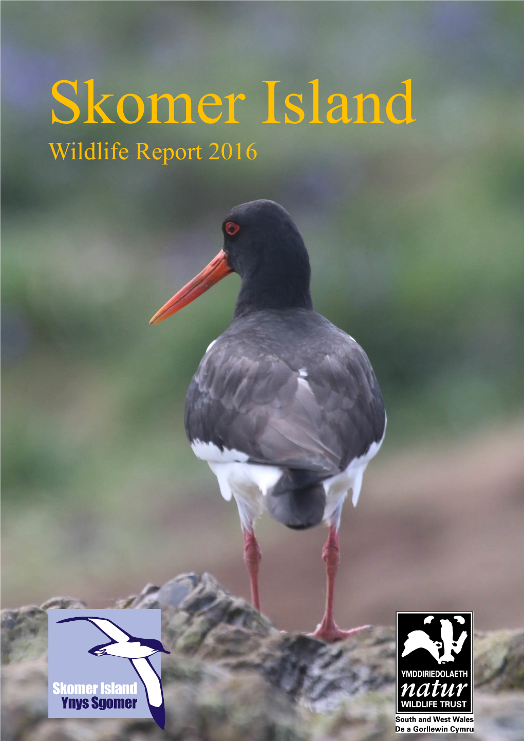 Skomer Wildlife Report 2016