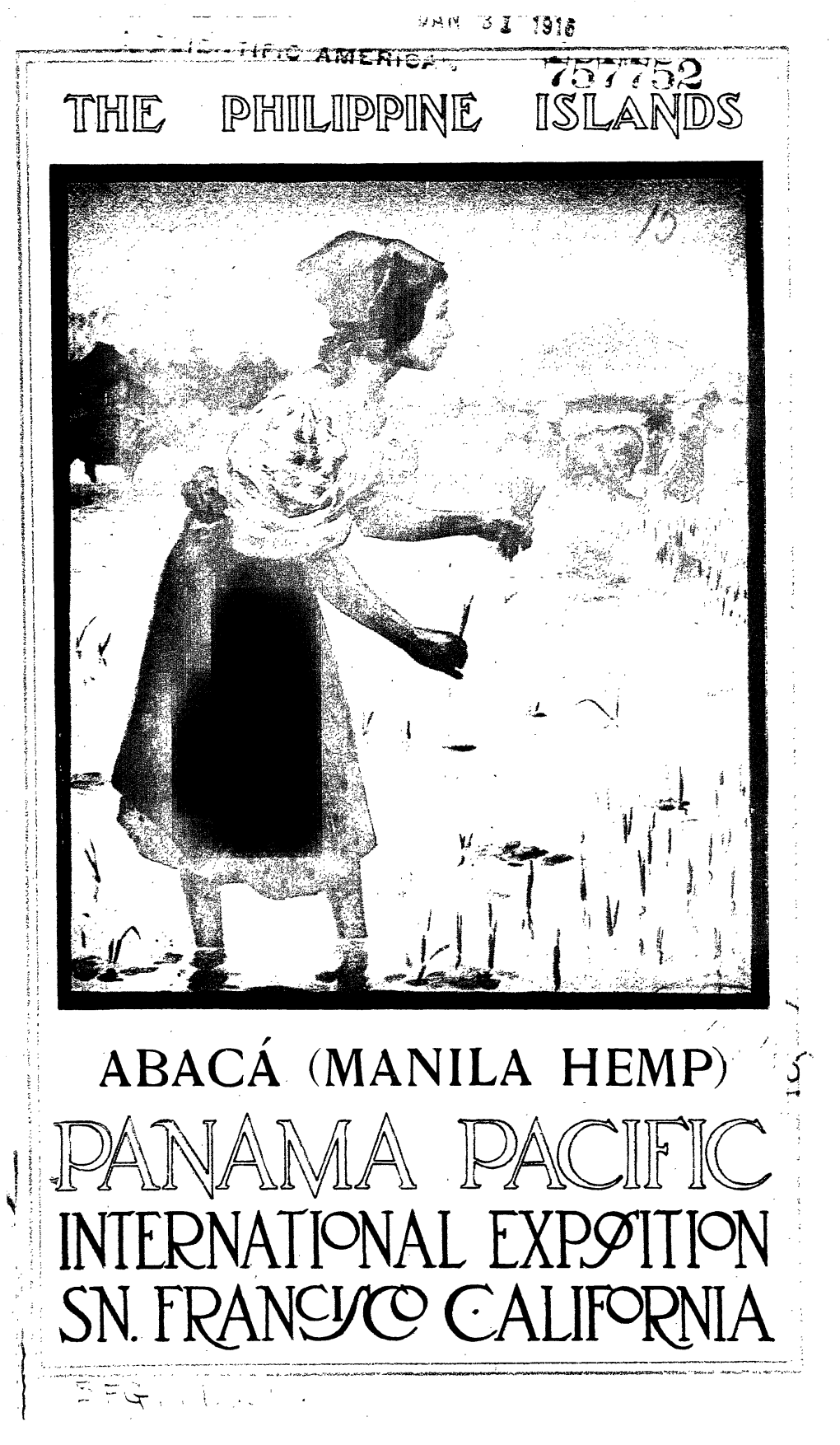 Abaca (Manila Hemp) in the Philippines