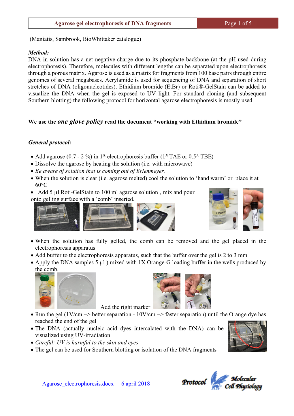 Agarose Gel Electrophoresis of DNA Fragments Page 1 of 5 Agarose Electrophoresis.Docx 6 April 2018