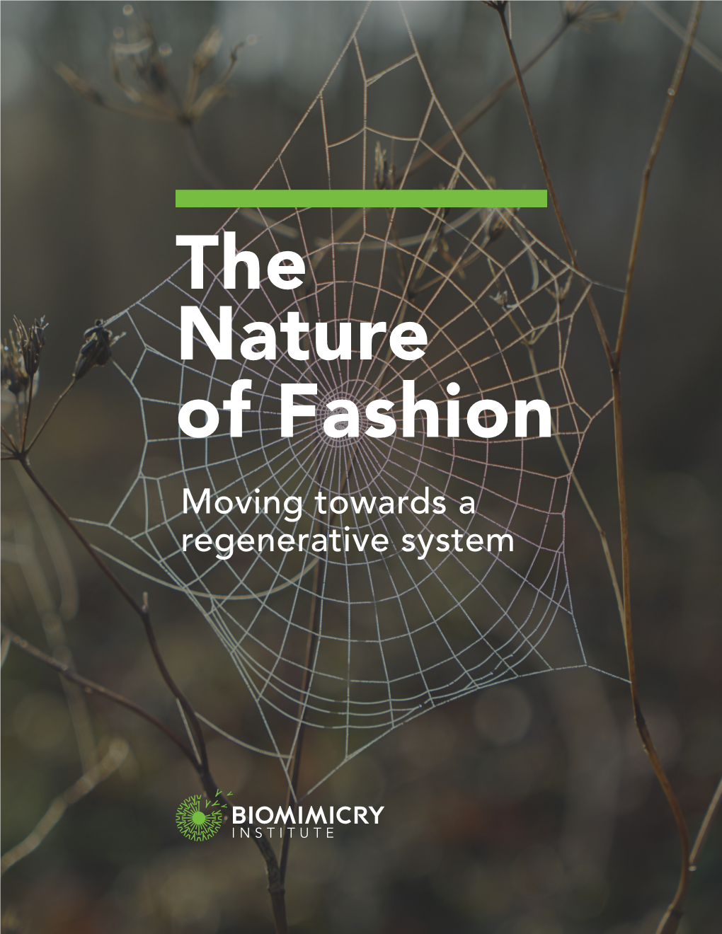 The Nature of Fashion Moving Towards a Regenerative System Contents 4 Foreword