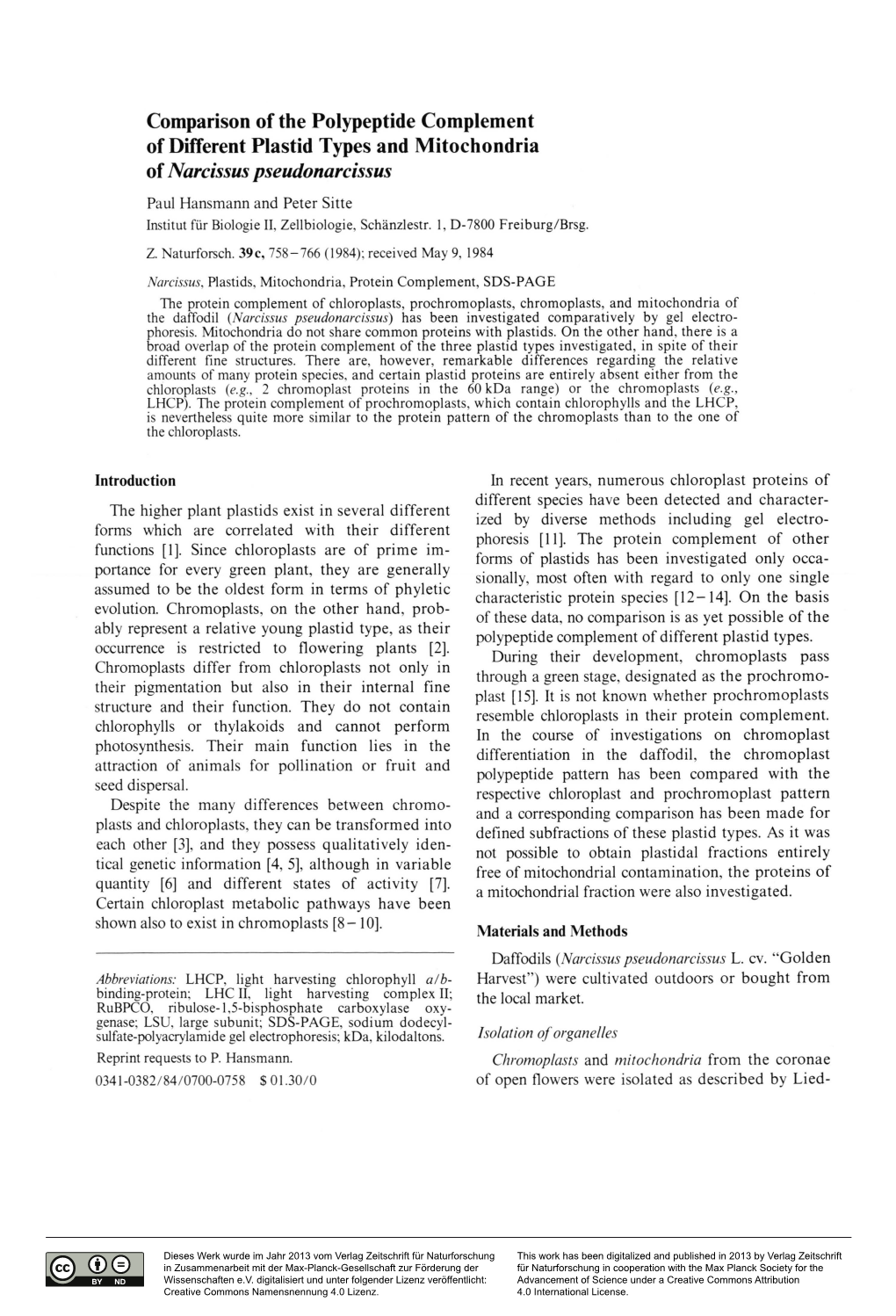 Comparison of the Polypeptide Complement of Different Plastid Types and Mitochondria of Narcissus Pseudonarcissus