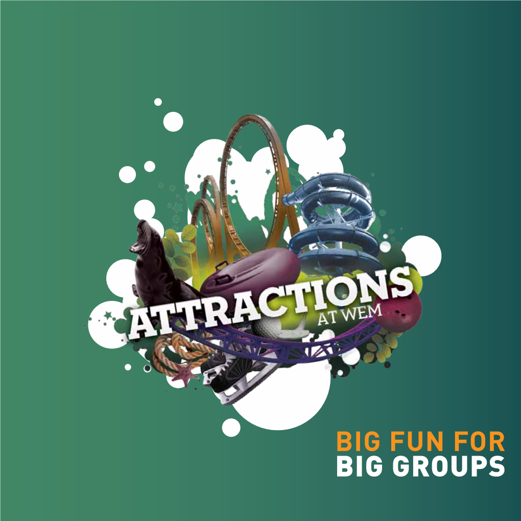 Big Fun Brochure