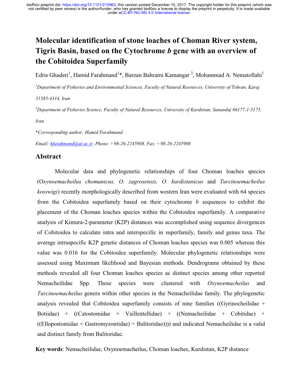 Molecular Identification of Stone Loaches of Choman River System, Tigris Basin, Based on the Cytochrome B Gene with an Overview of the Cobitoidea Superfamily
