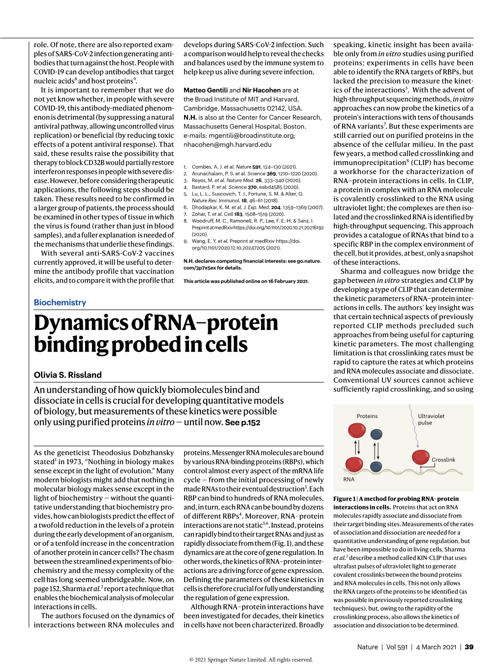 Dynamics of RNA–Protein Binding Probed in Cells