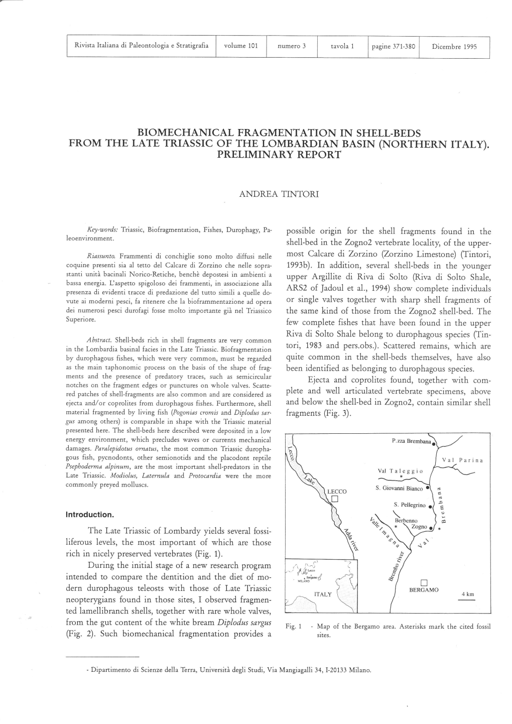 Biomechanical Fragmentation in Shell-Beds from the Late Triassic of the Lombardian Basin (Northern Italy)