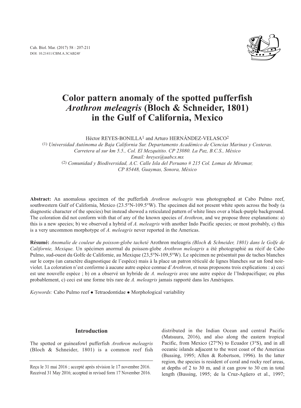 Color Pattern Anomaly of the Spotted Pufferfish Arothron Meleagris (Bloch & Schneider, 1801) in the Gulf of California, Mexico