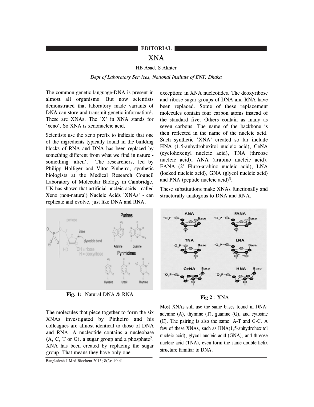 In XNA Nucleotides. the Deoxyribose and Ribose Sugar Groups of DNA